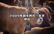 2009年属牛男孩一生学业运 2009年属牛男孩以后学业好吗