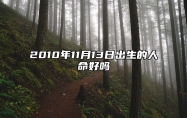 2010年11月13日出生的人命好吗 不同时辰八字运势详解