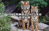 1986年属虎人2025年运势及运程 86年虎哪年才开始发财