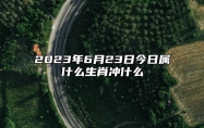 2023年6月23日今日属什么生肖冲什么 相刑 相合