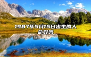 1987年5月15日出生的人命好吗 今日不同时辰生辰八字解析