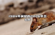 1984年属鼠的2026年怎么样 1984年属鼠的2023年全年运势如何