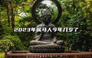 2023年属马人今年几岁了 2023年的属马人事业发展旺盛