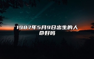 1987年5月9日出生的人命好吗 姻缘婚姻,八字事业人生发展