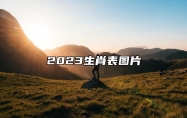 2023生肖表图片 2023兔年12生肖表