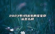 2023年1月出生的宝宝命运怎么样 本月出生宝宝性格