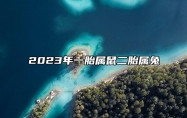 2023年一胎属鼠二胎属兔 2023属兔金箔金命缺金