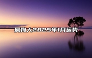 属狗人2025年1月运势 属狗2025年属狗每月运势和运