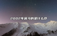 2002年属马的是什么命 2002属马2024年运势及运程详解