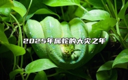 2025年属蛇的大灾之年 2025年属蛇人的全年