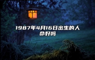 1987年4月16日出生的人命好吗 八字事业、感情婚姻、健康等运势详解