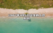 1987年1月5日出生的人命好吗 不同时辰八字运势详解