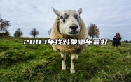 2003年找对象哪年最好 03年应该找什么生肖的对象