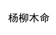 杨柳木命五行缺什么 杨柳木命是哪年出生的