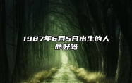 1987年6月5日出生的人命好吗 姻缘婚姻,八字事业人生发展