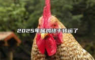 2025年属鸡终于转运了 2021年属鸡终于转运了