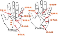 手相图解手相男怎么看 手相图解大全男