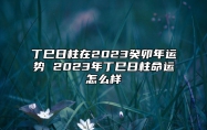 丁巳日柱在2023癸卯年运势 2023年丁巳日柱命运怎么样