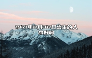 1971年11月30日出生的人命好吗 八字五行查询揭示命运