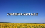 八字喜用神为木是什么含义？