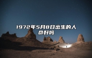 1972年5月8日出生的人命好吗 事业财运、感情婚姻、健康分析