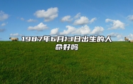 1987年6月13日出生的人命好吗 八字事业财运、感情婚姻