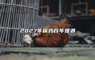 2027年属鸡百年难遇 2027年属鸡的是什么命