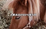 上香吉日2025年5月 上香吉日查询