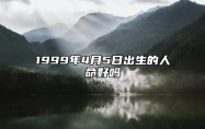 1999年4月5日出生的人命好吗 生辰八字、感情婚姻详解