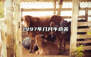 1997年几月牛命苦 1997年几月牛命苦三月生