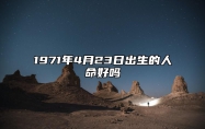 1971年4月23日出生的人命好吗 生辰八字、事业财运详解