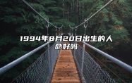 1994年8月20日出生的人命好吗 此日生辰八字详解