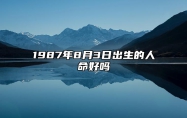 1987年8月3日出生的人命好吗 生辰八字、事业财运详解