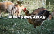 1993年属鸡戴什么首饰好 1993年属鸡戴什么首饰好一点