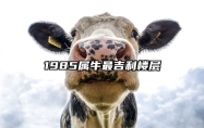 1985属牛最吉利楼层 1985属牛楼层风水几楼最好