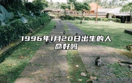 1996年1月20日出生的人命好吗 揭示性格特征与命运走向