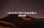 1996年2月11日出生的人命好吗 生辰八字五行解析