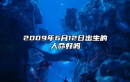 2009年6月12日出生的人命好吗 八字运势、婚姻、事业详解