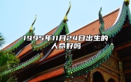 1995年11月24日出生的人命好吗 五行缺什么命运好不好