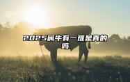 2025属牛有一难是真的吗 属牛的人2025年的命运