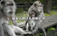 属猴人跟什么属相犯冲 属猴的和什么属相冲突