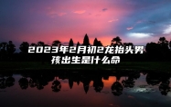 2023年2月初2龙抬头男孩出生是什么命 个性随和人缘好