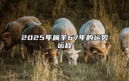 2025年属羊67年的运势运程 属羊人2025年全年运势 1979年羊年每月牌运