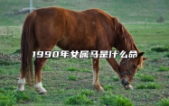 1990年女属马是什么命 1990年属马是什么命金木水火土