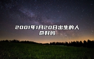 2001年1月20日出生的人命好吗 今日生辰八字运势详解