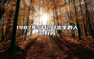 1987年5月2日出生的人命好吗 生辰八字、感情婚姻详解