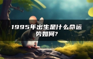 1995年出生是什么命运势如何? 1995年出生时什么命属什么的