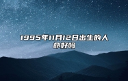 1995年11月12日出生的人命好吗 八字事业财运、感情婚姻