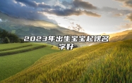 2023年出生宝宝起啥名字好 2023年属兔本姓陈取名叫什么名字