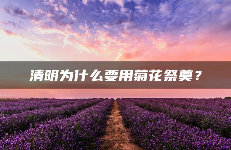 清明为什么要用菊花祭奠？